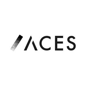 aiq-index 4