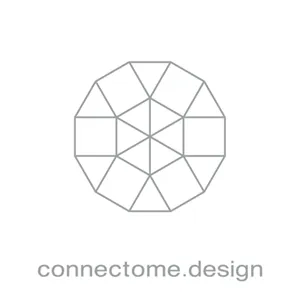 connectome